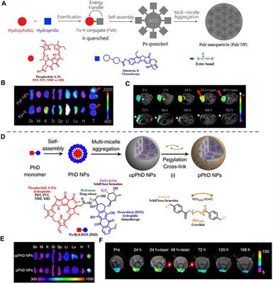 NIR-I Dye-Based Probe: A New Window for Bimodal Tumor Theranostics